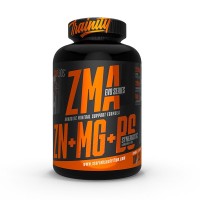 ZMA, 100kap ZMA, 100kap